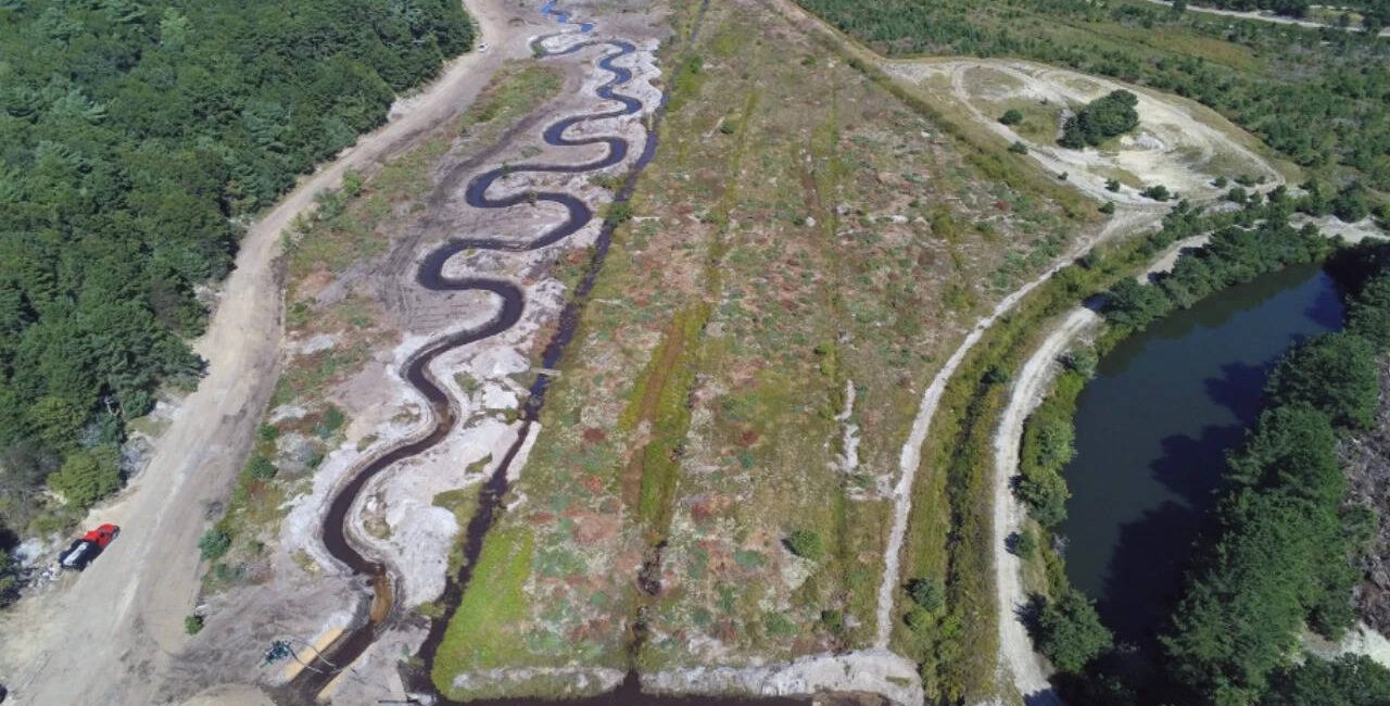 Massachusetts restores cranberry bog to protect rare trout that moves between river and ocean