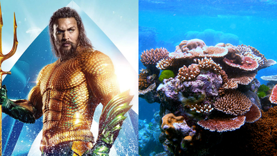 Jason Momoa raises alarm over coral reefs nearing extinction; scientists report world’s most widespread bleaching event |