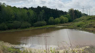 An Atlanta teacher spent years warning students away from a locked 26-acre forest outside their school; community organizing has now secured $3 million to begin turning the hidden city land into a public park